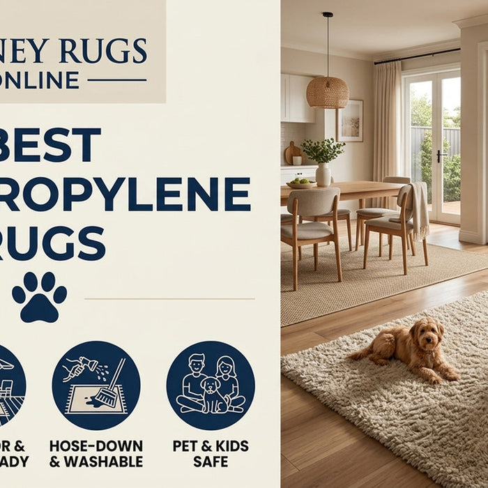 Best Polypropylene Rugs