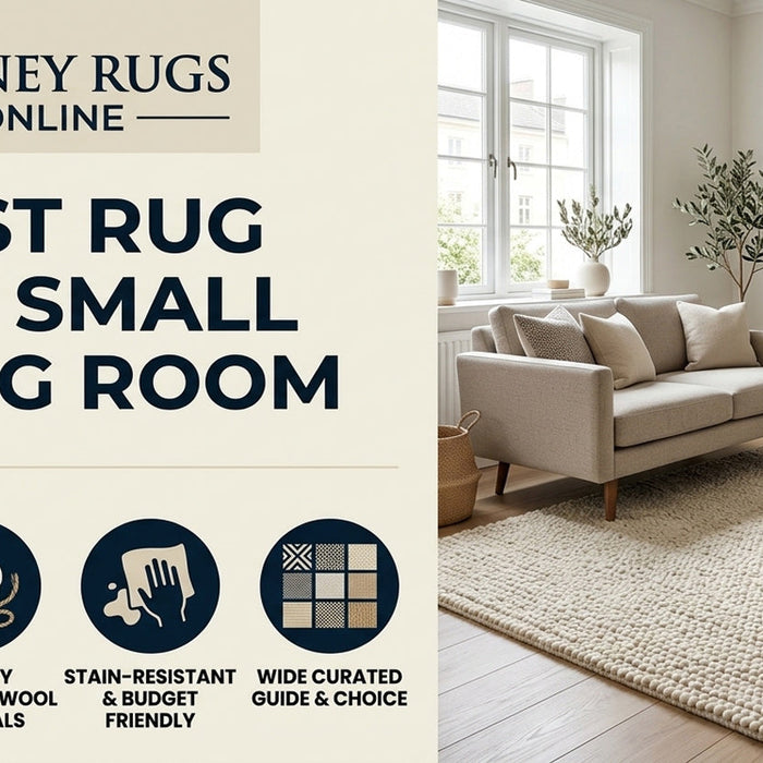 Best Rug for Small Living Room