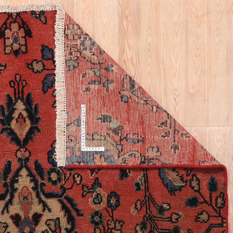 Afshon Hamadan Medallion Red Blue Rug