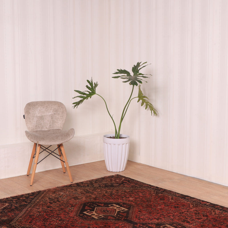 Afshon SY35 Shiraz Red Black Rug