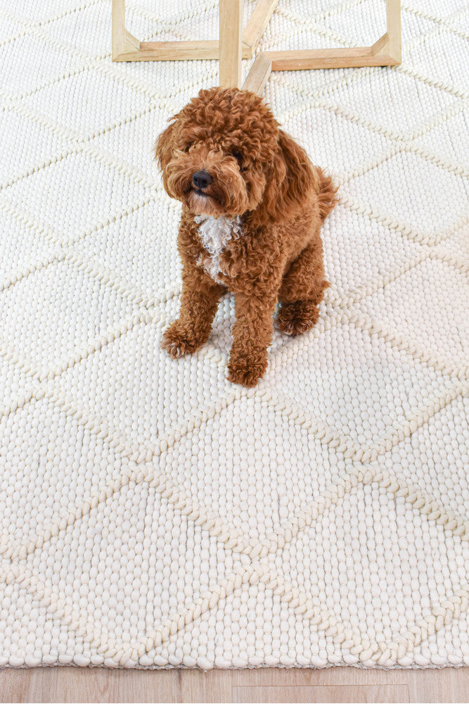 Lure Coast Diamond Frost Wool Rug