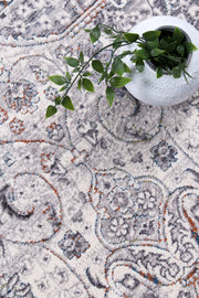 Almir Traditional Medallion Grey Multi Runner Rug