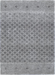 Amrish Ajoy Grey Rug