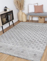 Amrish Ajoy Grey Rug