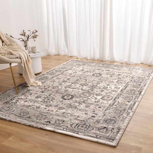 Athena Distressed Transitional Beige Grey Rug