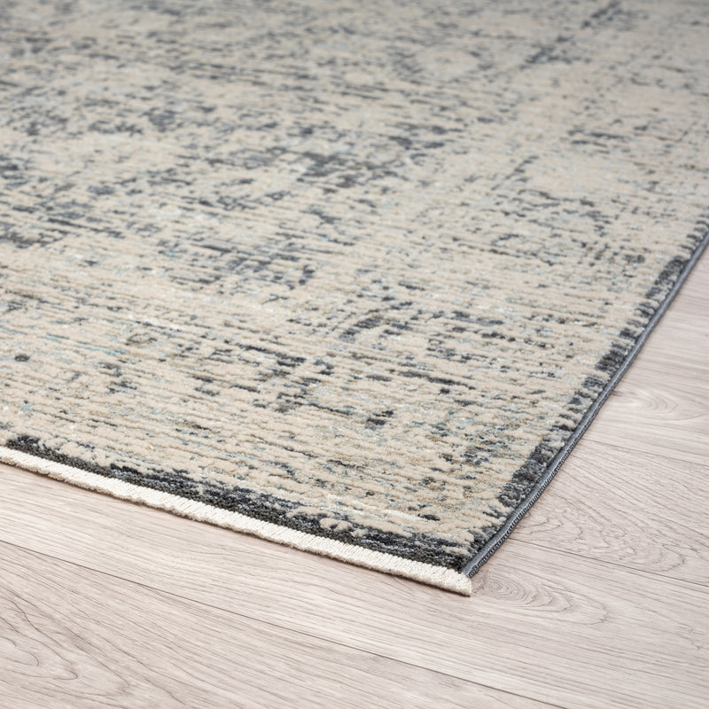 Allen Ayala Transitional Charcoal Rug