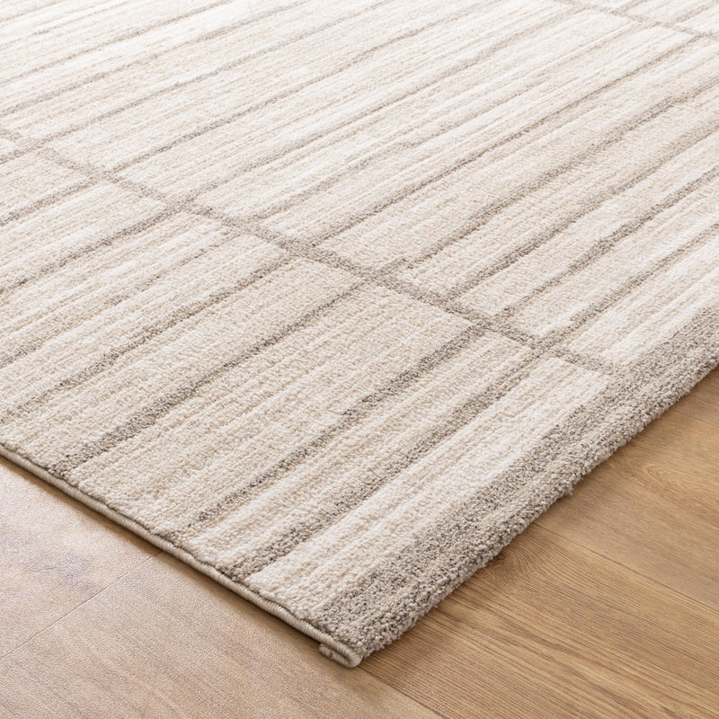 Helena Distressed Modern Beige Grey Rug