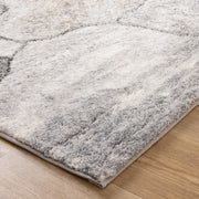 Sunkist Maidstone Grey Beige Rug