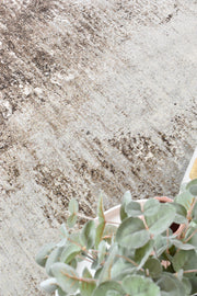 Designer Modern Meliora Rug