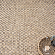 Paseo March Taupe Rug