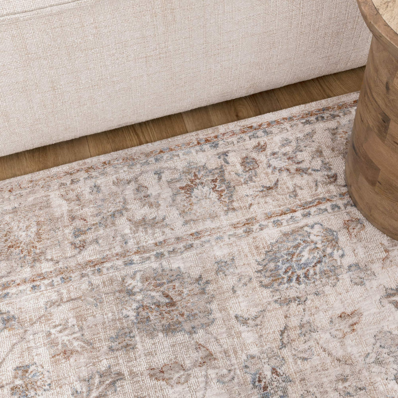 Dignified Transitional Multi Rug