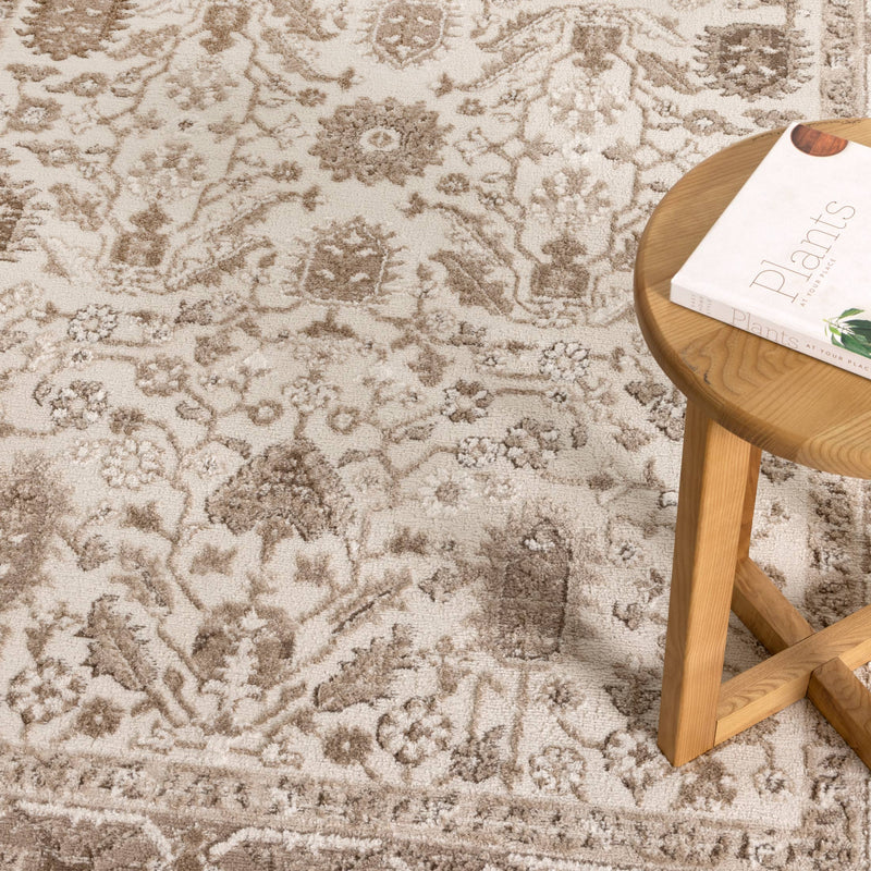 Mesa Oriental Border Brown Rug