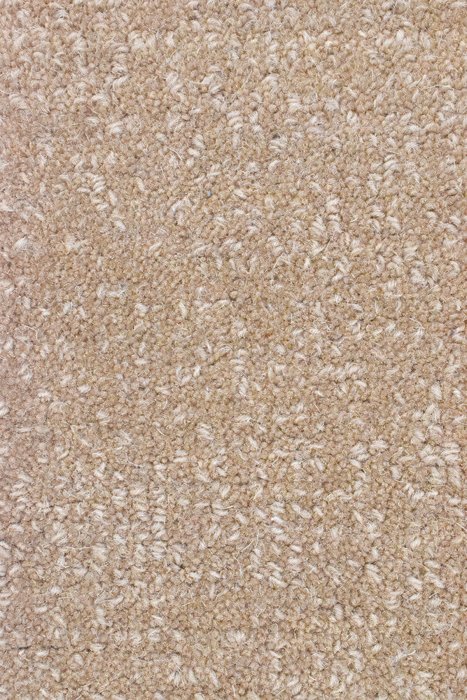 Dakota Coast Blue Rug