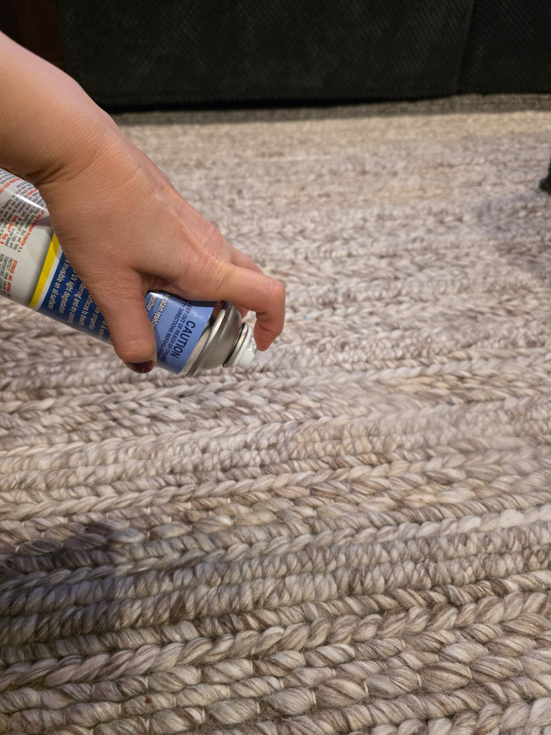 Rug & Carpet Protector