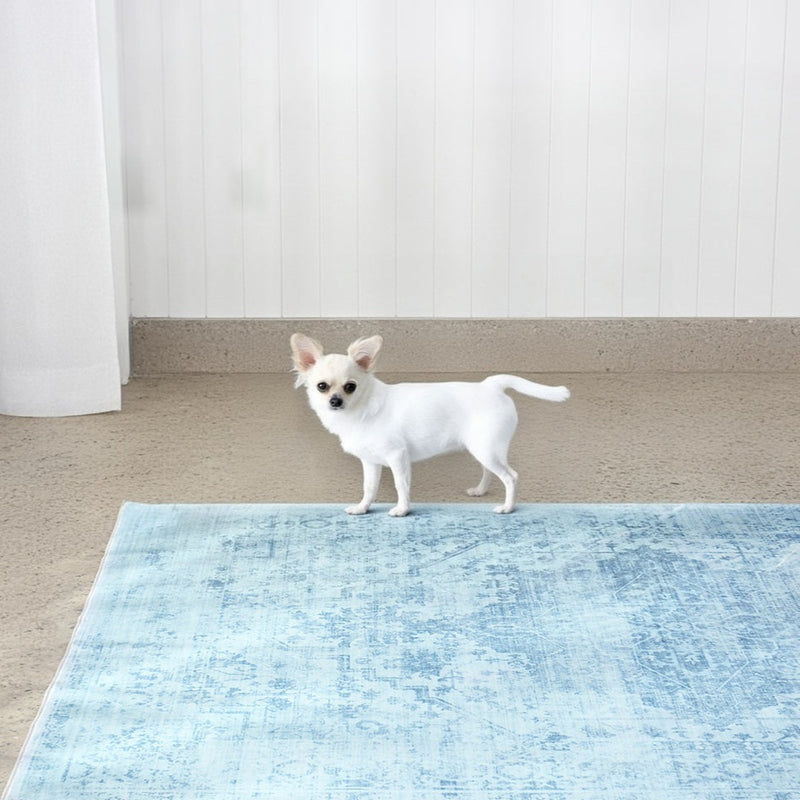 Brilliant Blue Rug
