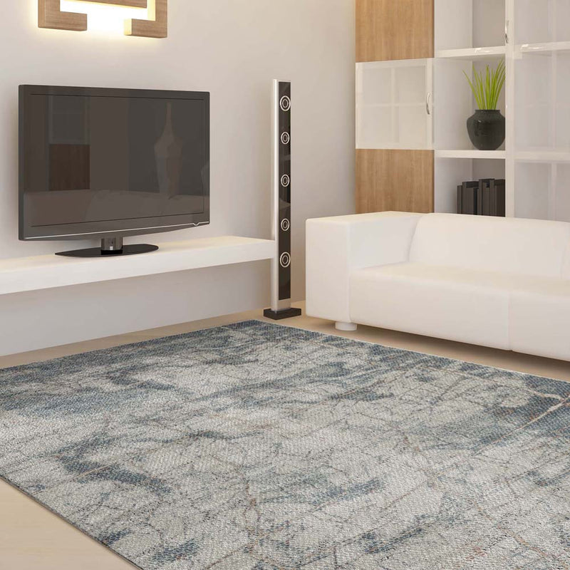 Dorsey Exquisite Grey Rug
