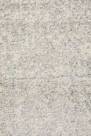 Summon Shine Silver Transitional Runner Rug