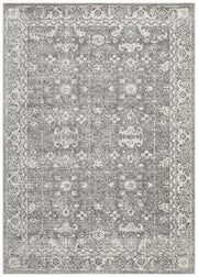 Summon Shine Silver Transitional Rug