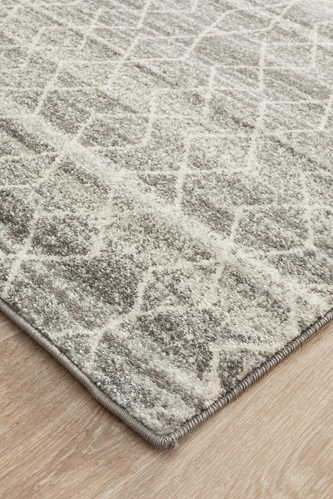 Summon Remy Silver Transitional Runner Rug