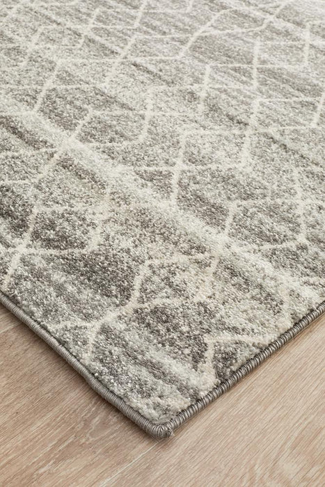 Summon Remy Silver Transitional Runner Rug