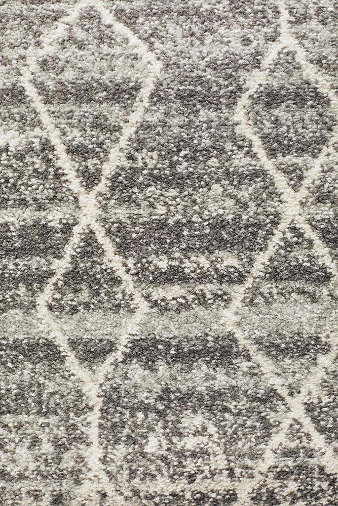 Summon Remy Silver Transitional Runner Rug