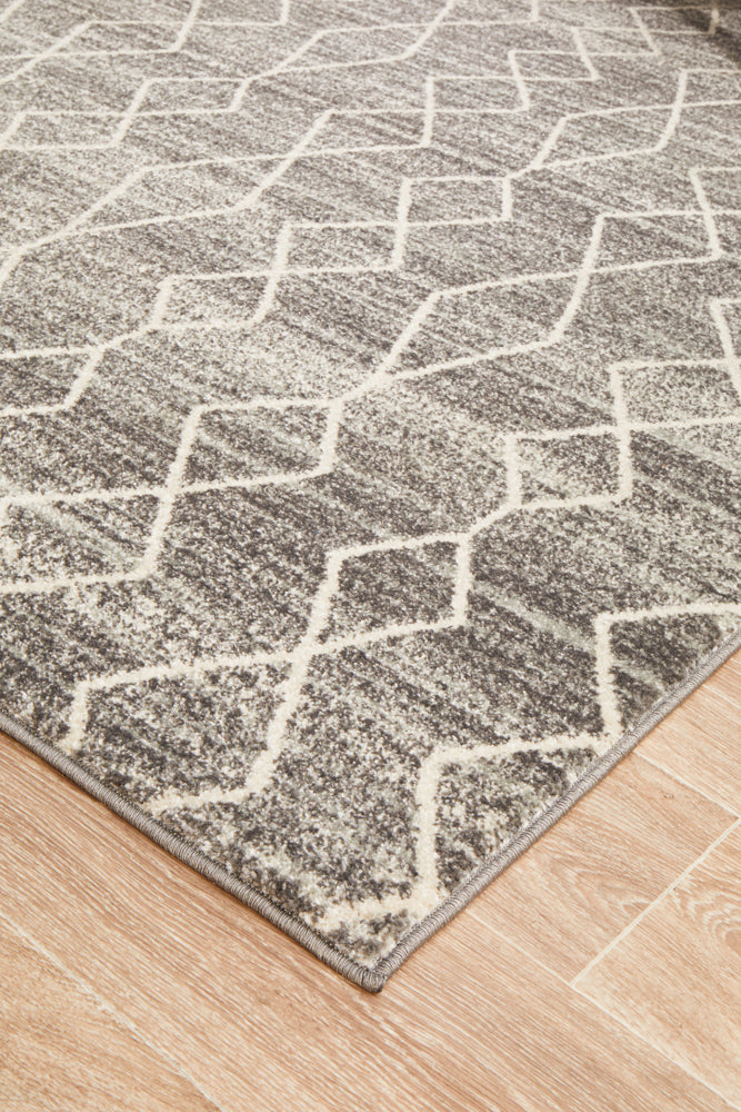Summon Remy Silver Transitional Rug