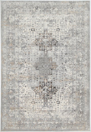 Appearance Oriental Grey Rug