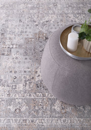 Appearance Oriental Grey Rug