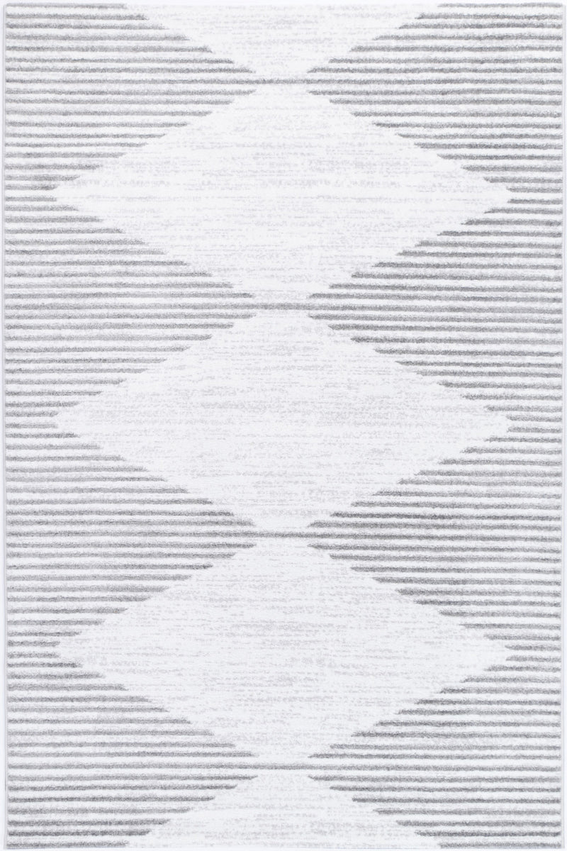 Paisley Abstract Diamond Silver Rug