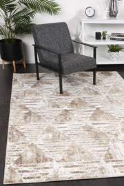 Paisley Transitional Geometric Latte Rug