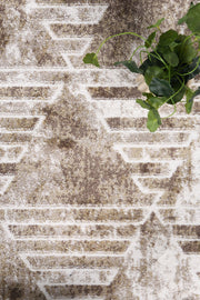 Paisley Transitional Geometric Latte Rug