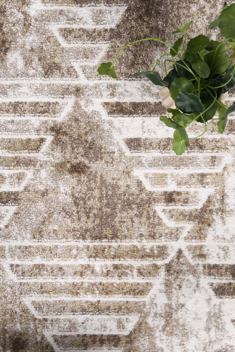 Paisley Transitional Geometric Latte Rug