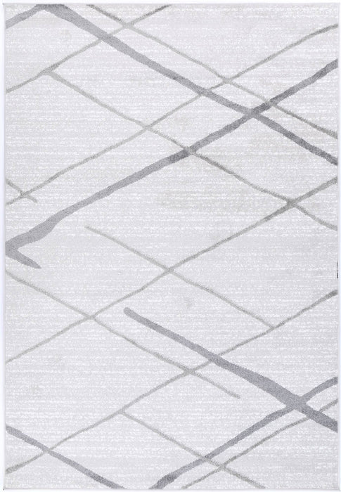 Paisley Abstract Stripe Silver Rug
