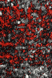 Pompon Tress White Red Rug