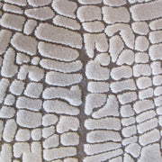 Polo Collection 3332 Beige Rug