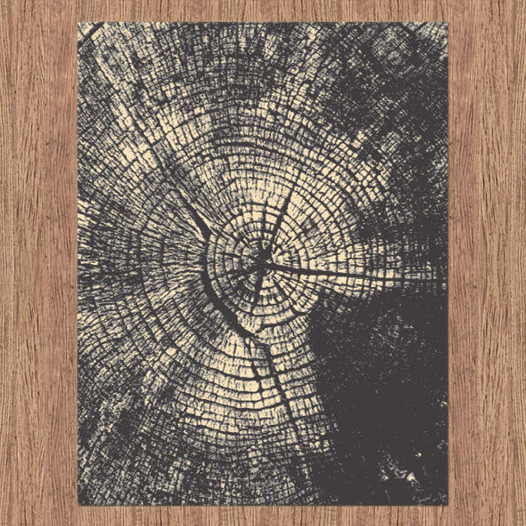 Medori Glow Grey Rug