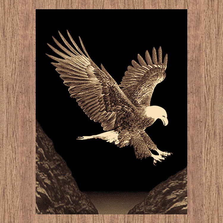 Medori Eagle Black Rug