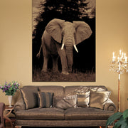 Medori Elephant Black Rug