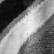 Shaggy Luxury Collection 1204 Grey runner rug