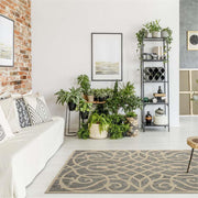 Perfecto Geese Grey Cream Rug